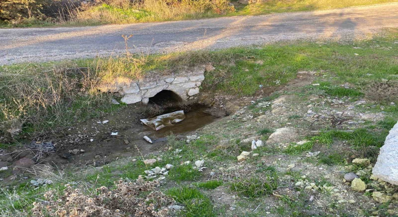 Çanakkalede boş arazide bebek cesedi bulundu