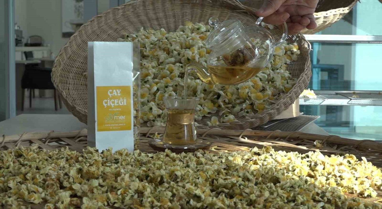 Çayın yeni ürünü ‘Çay çiçeği çayı 6 bin TLden satılıyor