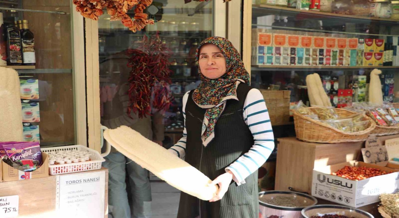 Cilt sağlığı ve temizlik arayışı kabak lifi satışlarını arttırdı