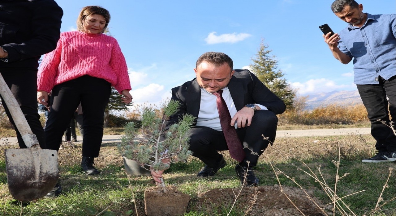 Çivrilde öğretmenler anısına fidan dikimi yapıldı