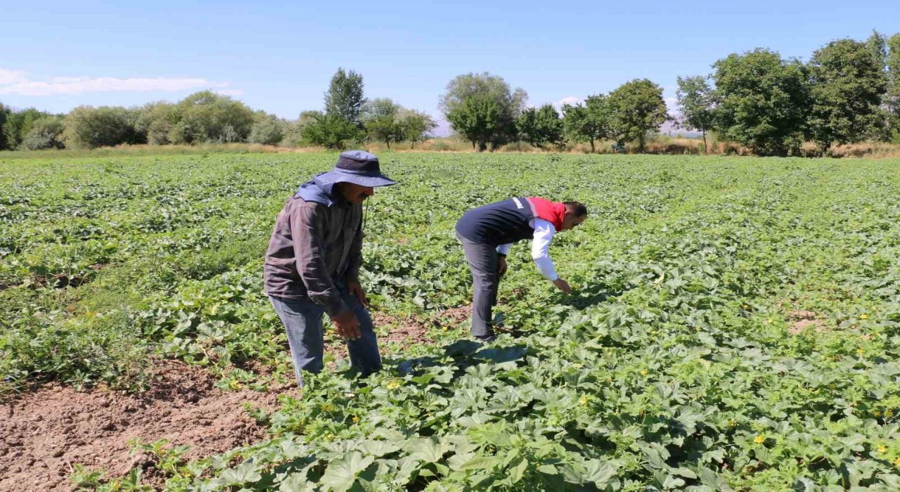 ÇKS başvuruları 31 Aralıkta sona eriyor