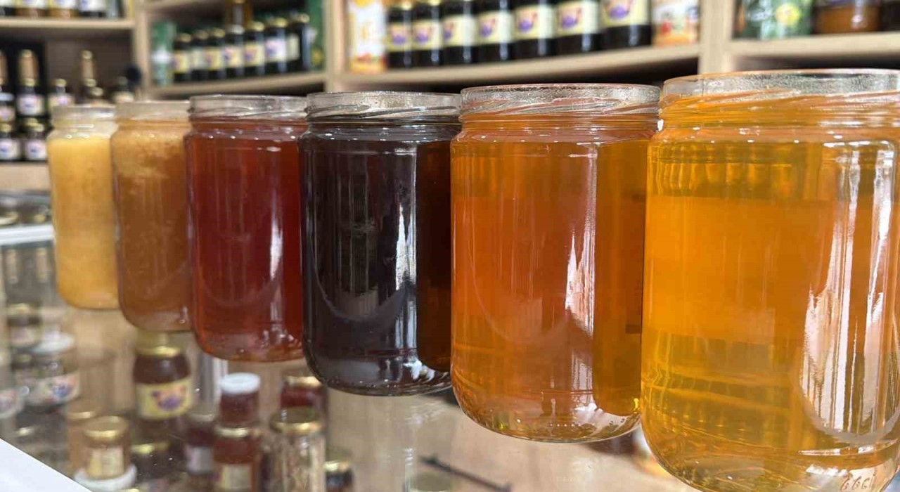 Coğrafi işaretli kestane ve orman gülü balları raflardaki yerini aldı