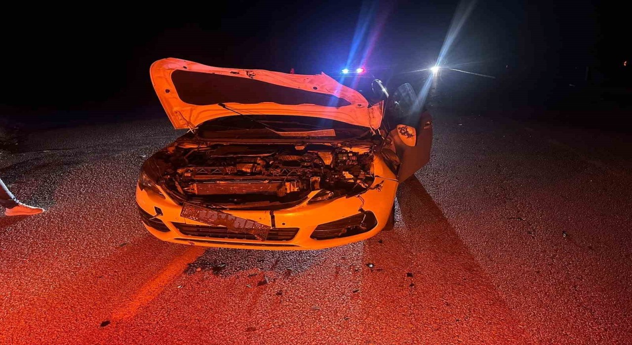 Çorumda otomobil yola çıkan danaya çarptı: 2 yaralı