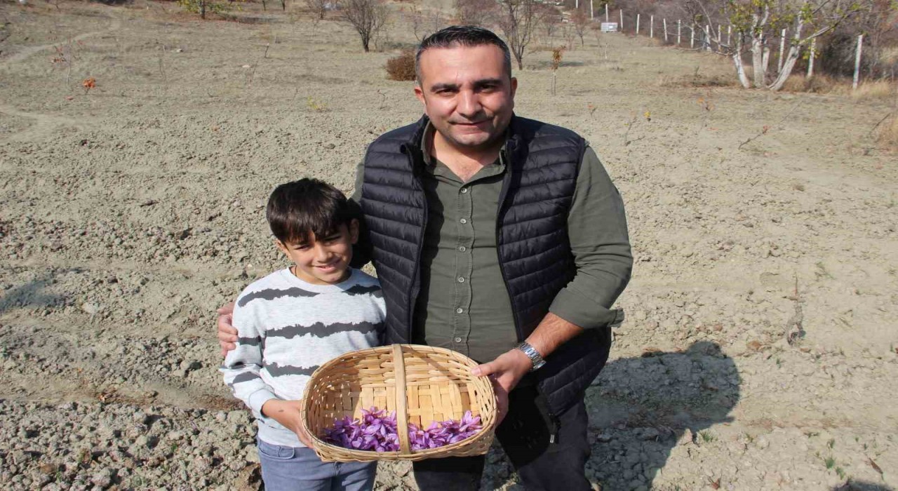 Denemek için ekti, 250 metrekarelik tarlasında dünyanın en pahalı baharatını yetiştirdi