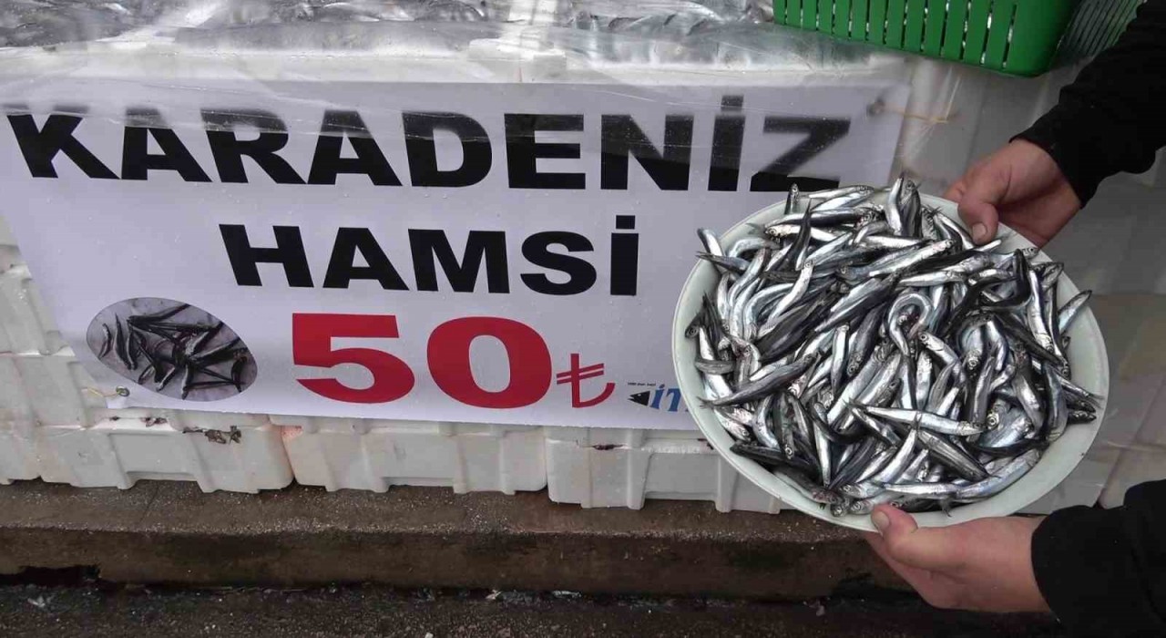 Denize kıyısı olmayan şehirde hamsinin kilosu 50 TLye düştü, vatandaş poşet poşet aldı