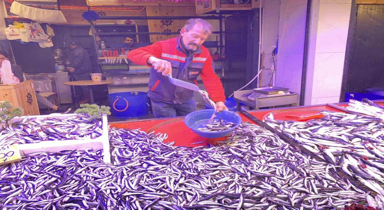 Denizlerde bollaşan hamsi tezgahlarda 100 TLye yer buldu