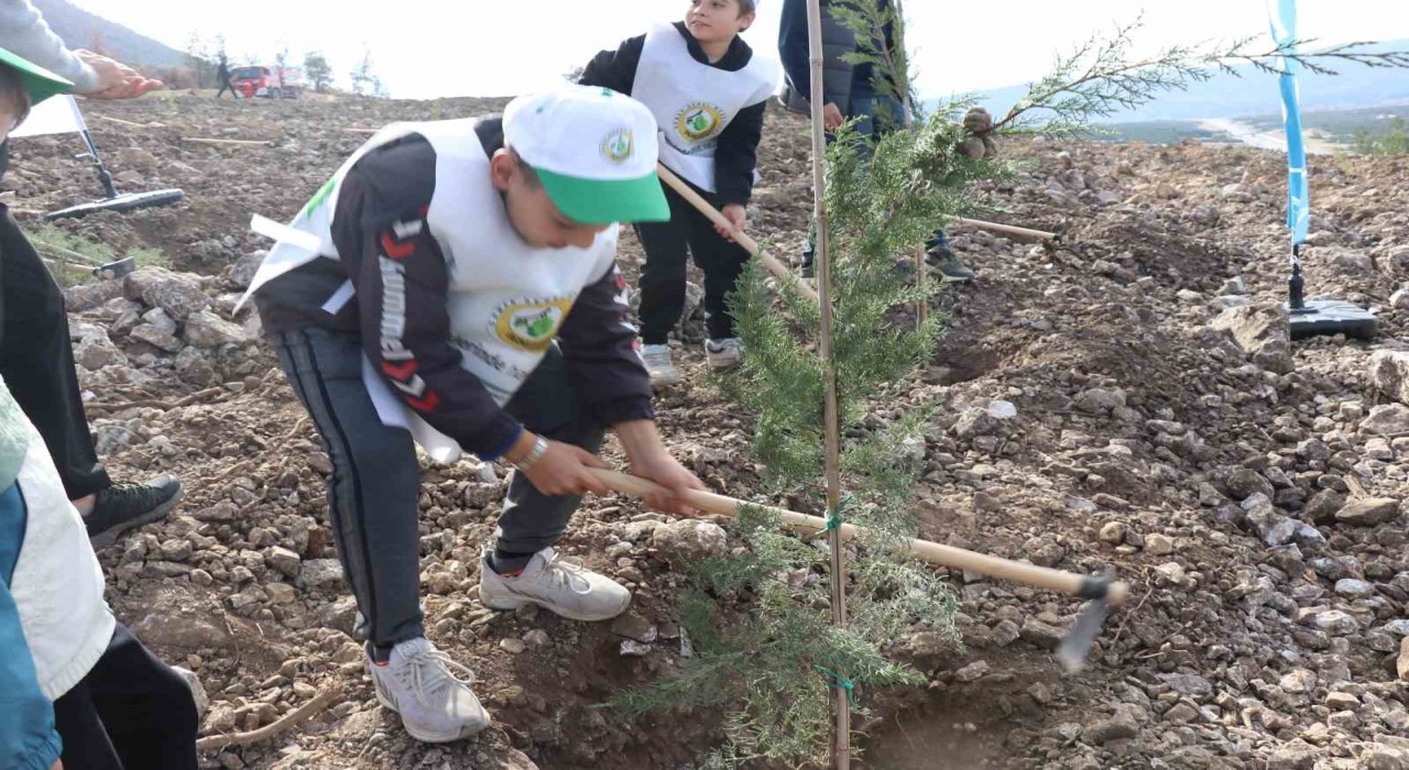 Denizlide yanan alanlarda binlerce fidan toprakla buluştu