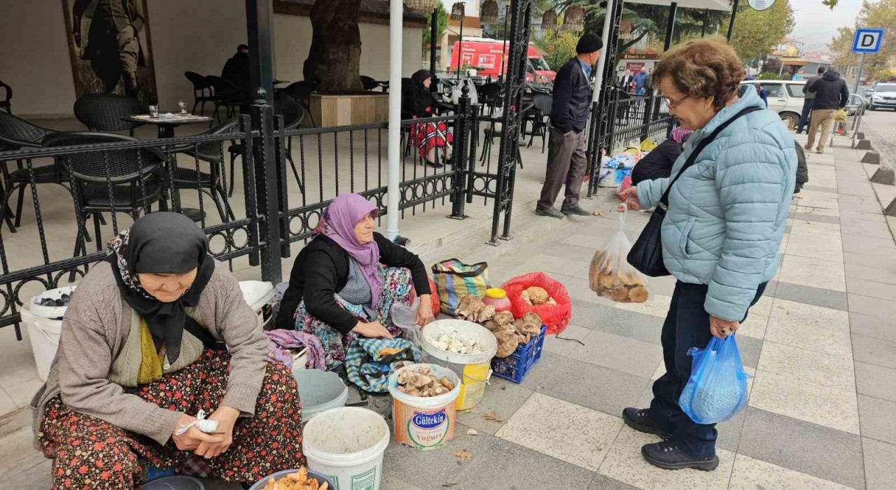 Deprem bölgesi Sındırgıda hayat devam ediyor