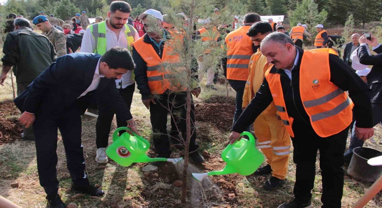 DEPSAŞ Enerjiden Makam Dağına 3 bin fidanlık yeşil dokunuş