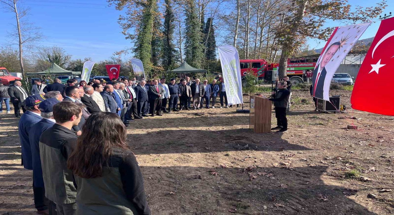 Devrekte fidan dikim programı