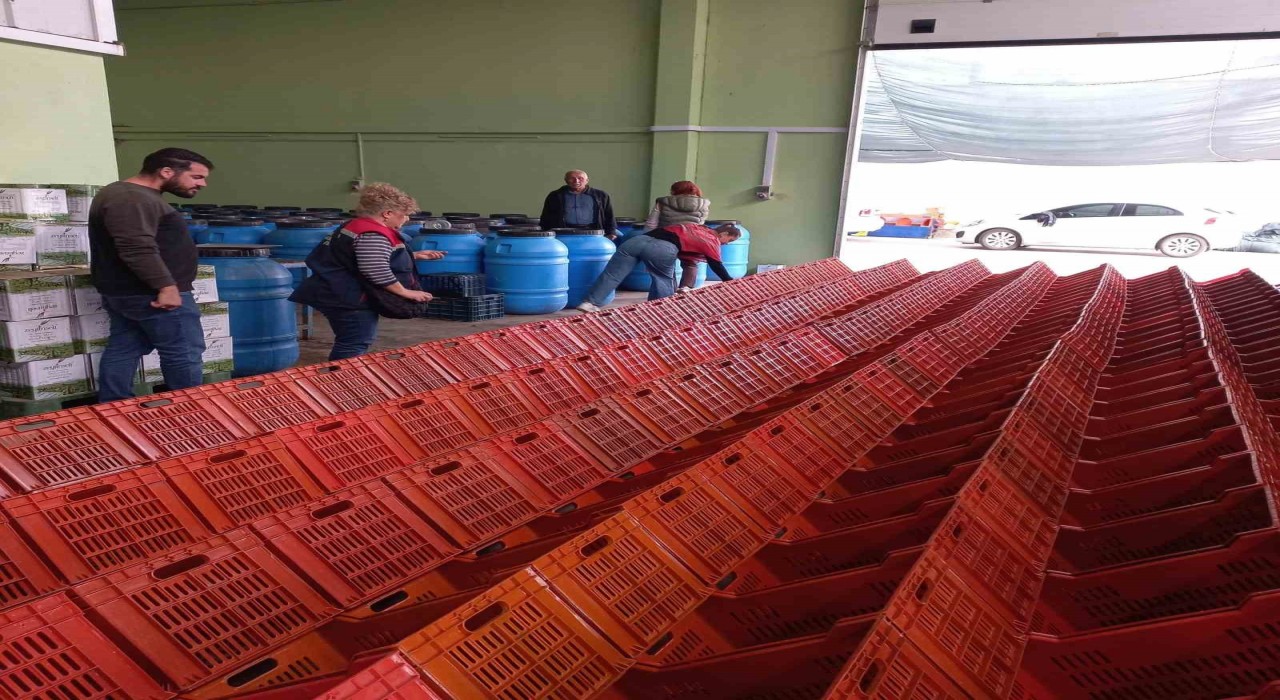 Didimde organik zeytin ve zeytinyağı üretim alanları denetlendi