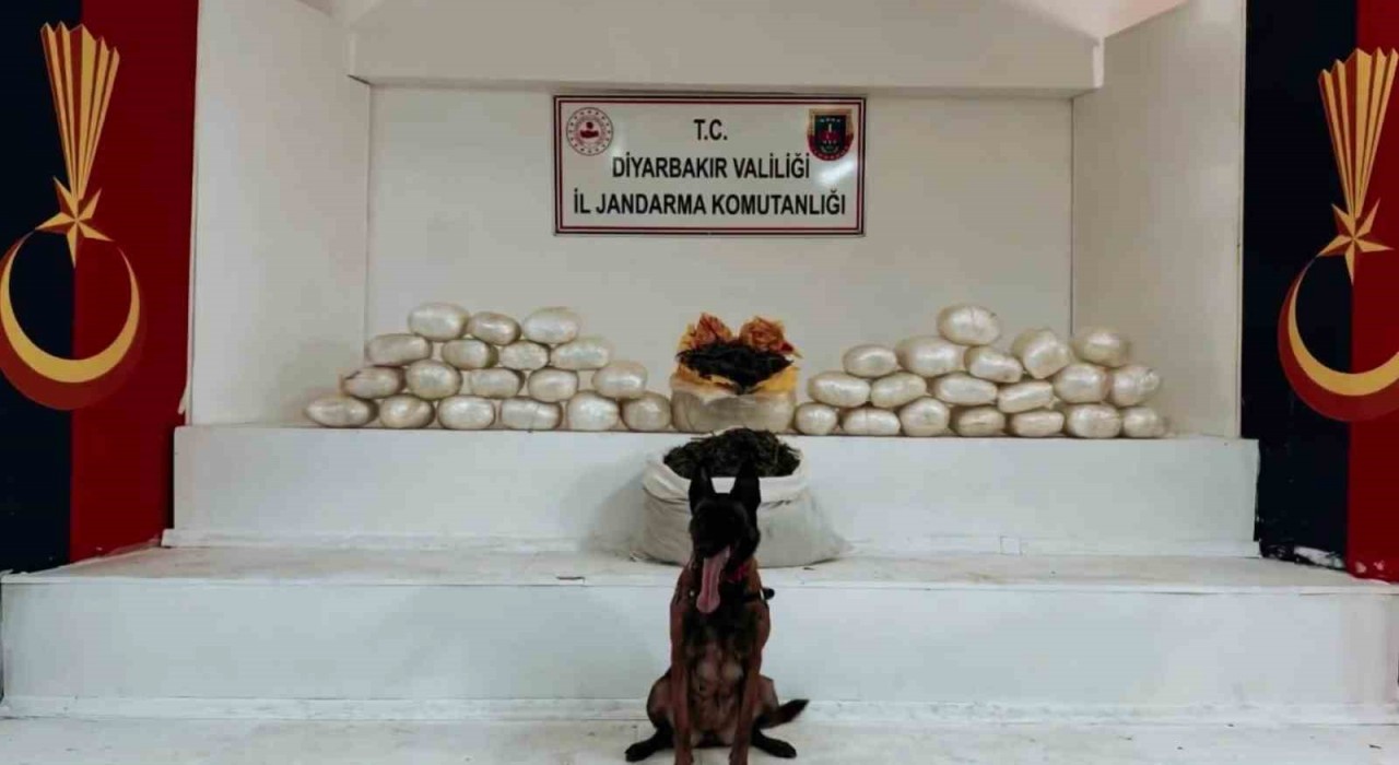 Diyarbakırda 470 kilo skunk ve 85 kilo esrar ele geçirildi