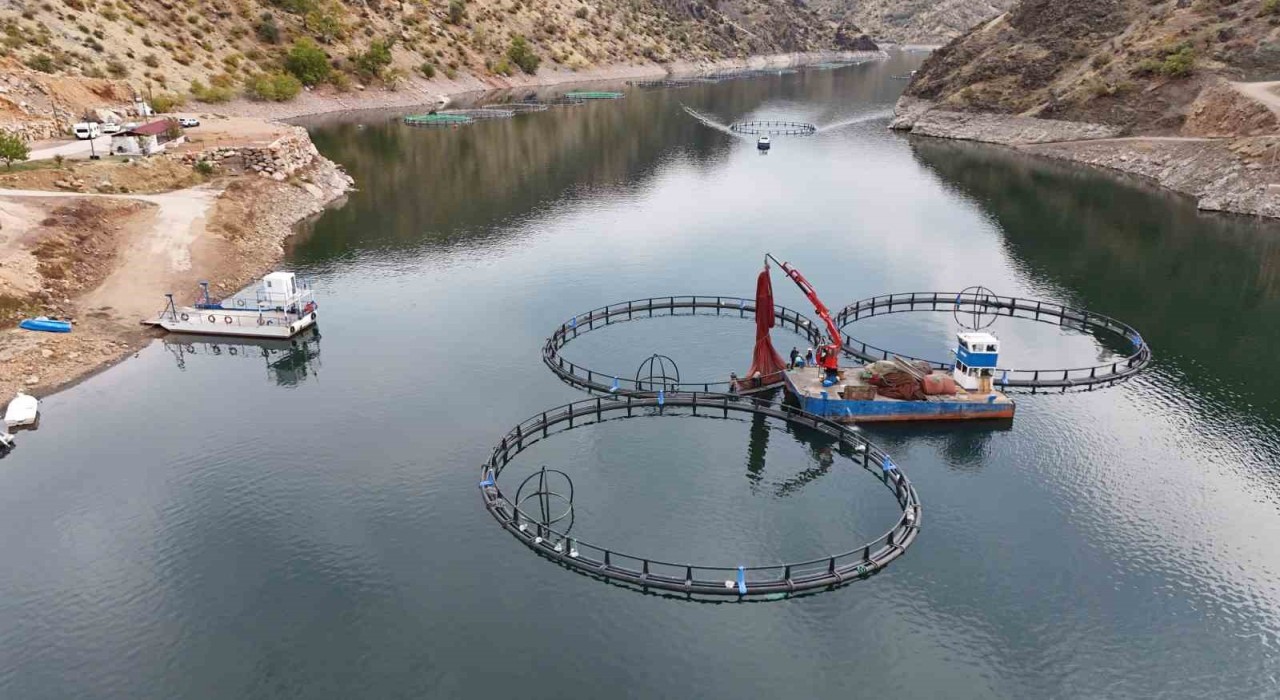 Diyarbakırda 500 ton kapasiteli tesisten dünyaya Mezopotamya somonu gönderilecek