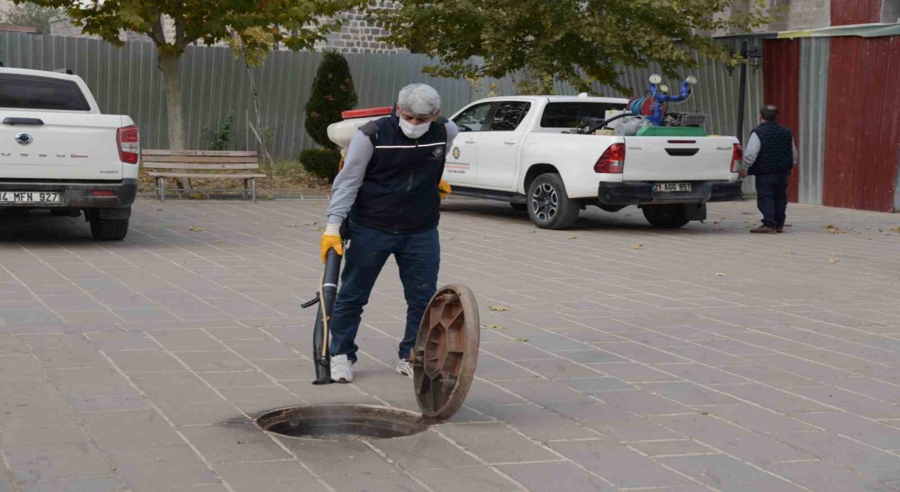 Diyarbakırda haşerelere karşı kışlak ilaçlamanın startı verildi