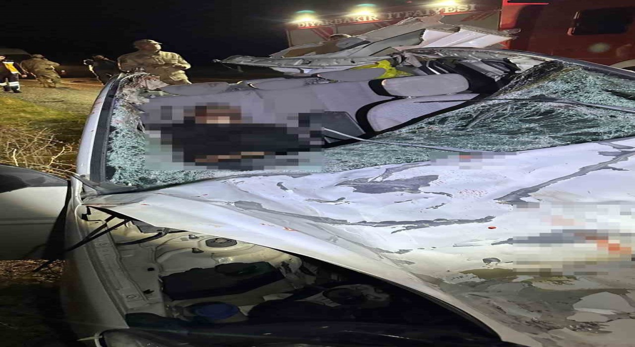 Diyarbakırda iki otomobil ile at çarpıştı: 1 ölü, 7 yaralı