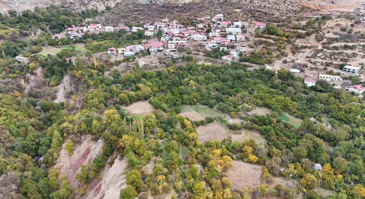 Diyarbakırın bu köyünde ne eksen onu biçiyorsun