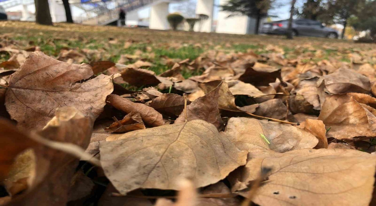 Dökülen yaprakla kartpostallık görüntüler oluşturdu