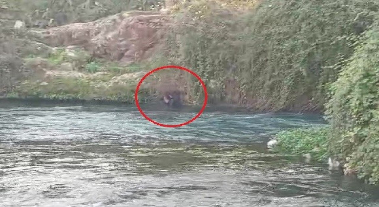 Düden Çayına düşen şahsı itfaiye ekipleri kurtardı