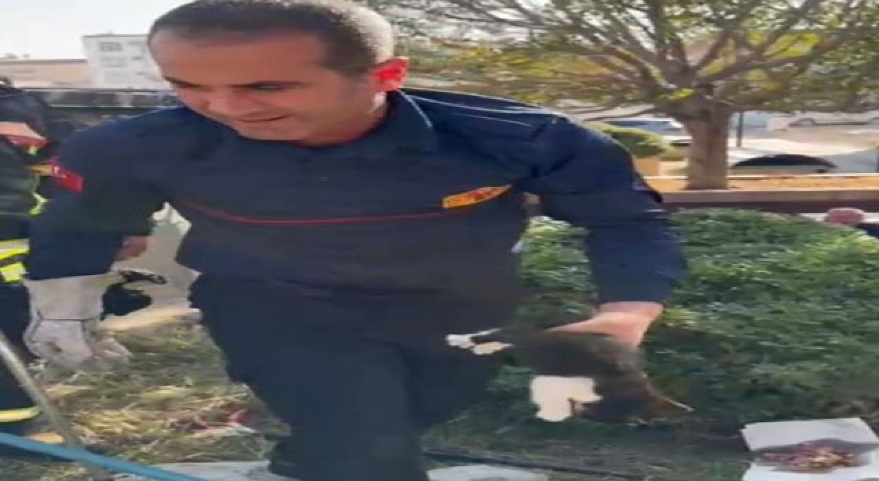 Duvar Arasında Sıkışan Yavru Kedi İtfaiye Tarafından Kurtarıldı