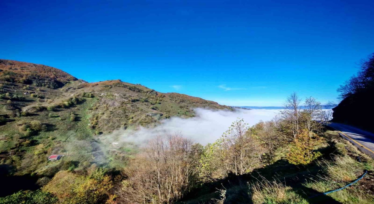 Düzce güne sisle uyandı