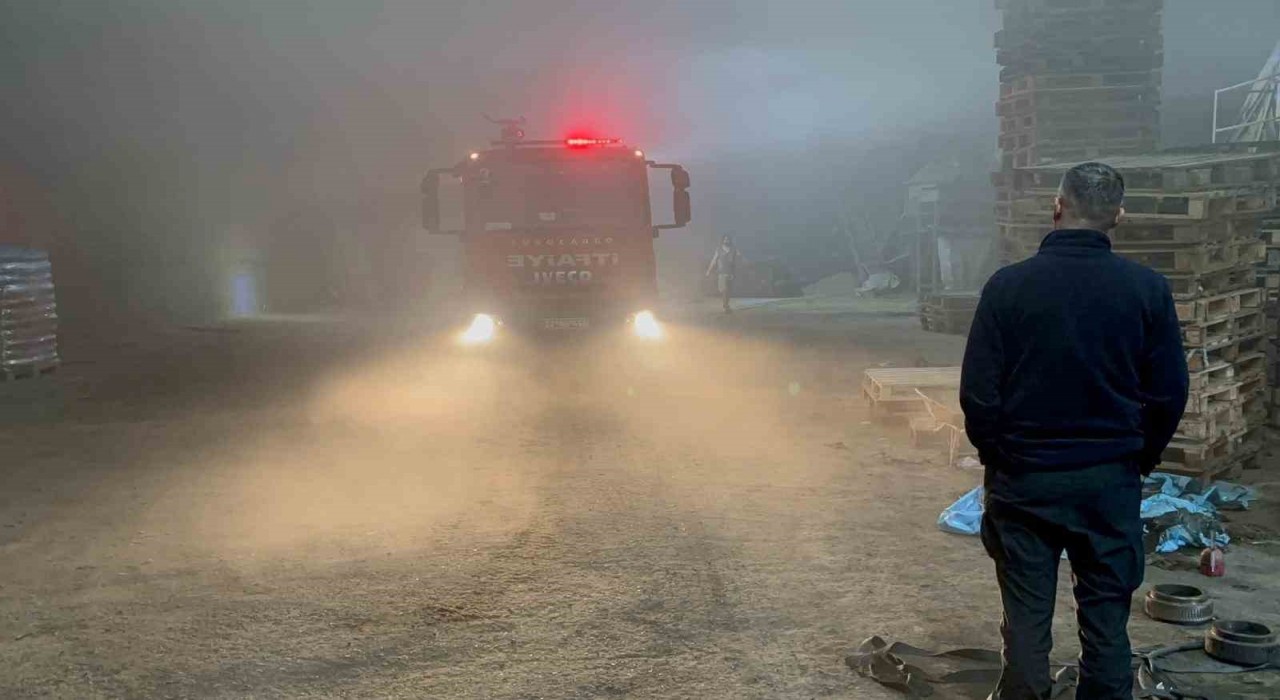 Edirnede palet fabrikasında yangın