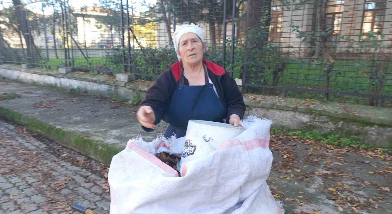 Edirnede yaşlı kadın, 34 yıldır sonbaharda düşen yaprakları gübreye dönüştürüyor