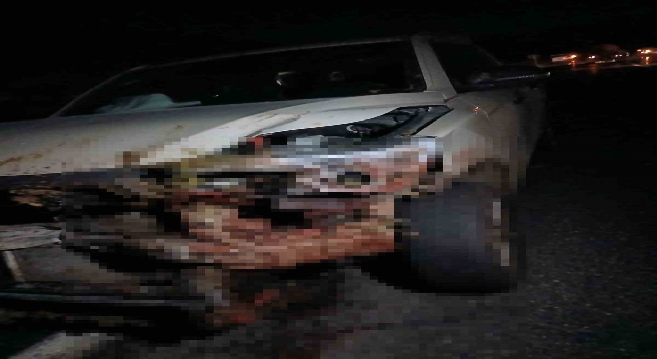 Elazığda kamyonet sürüye çarptı: 30 küçükbaş hayvan telef oldu