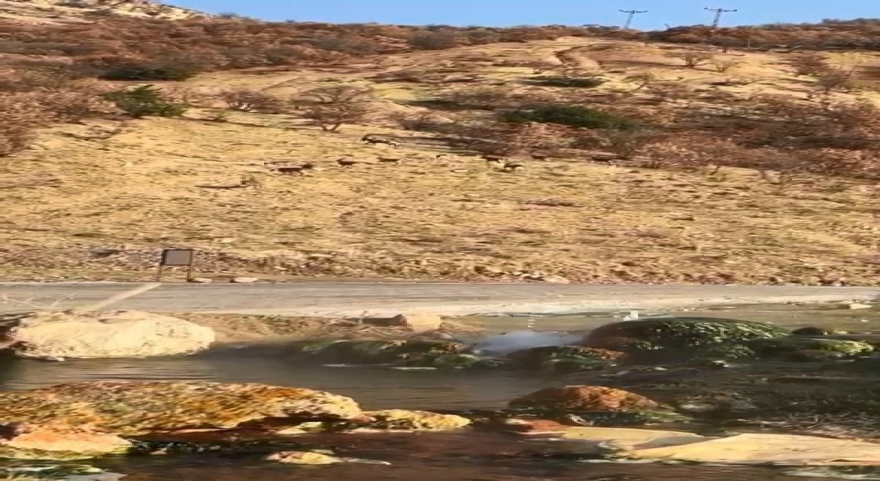 Elazığda nesli tükenme tehdidi altında olan dağ keçileri görüldü