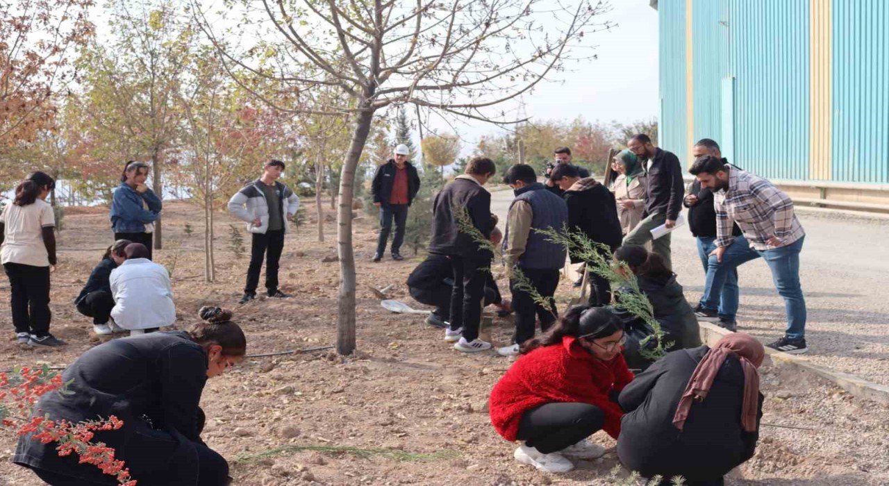 Elazığda ‘Yeşil Vatan Seferberliğine anlamlı destek