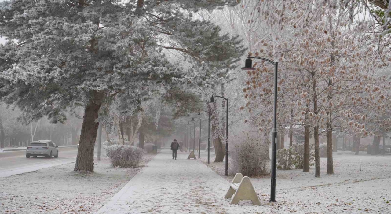 Erzurum güne sis ve kırağı ile uyandı