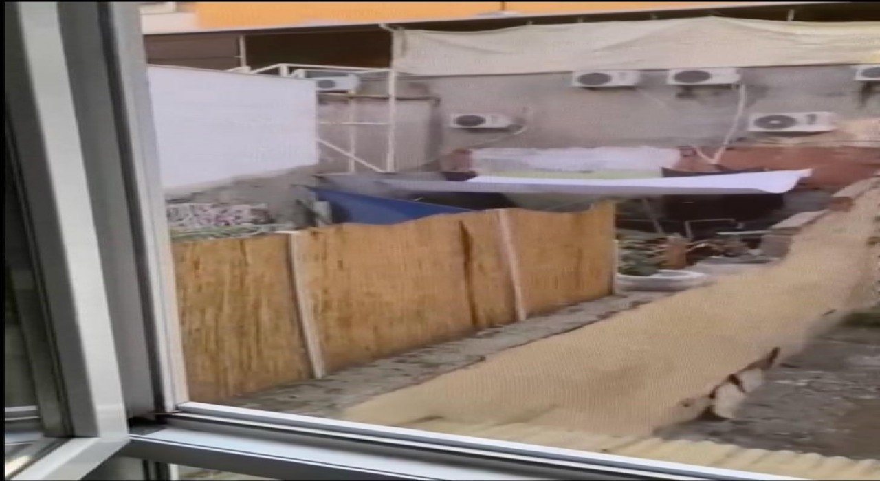 Eskişehirde köpeğe eziyet eden şahıs yakalandı