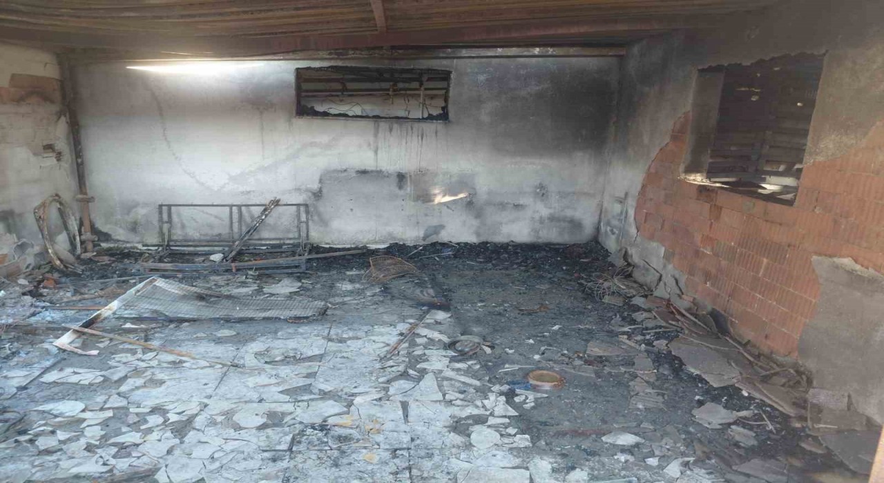 Evde çıkan yangında hayatını kaybetti, 20den fazla kedi de telef oldu