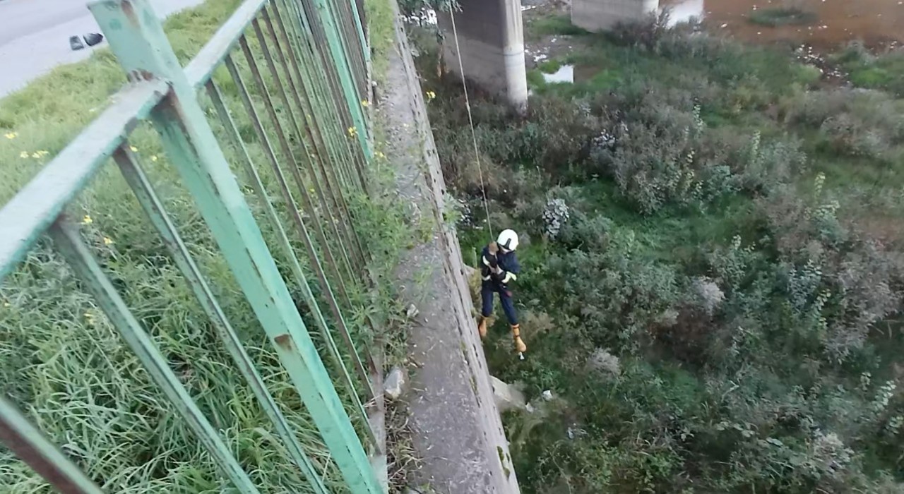 Filyos Çayına düşen yavru kedi kurtarıldı