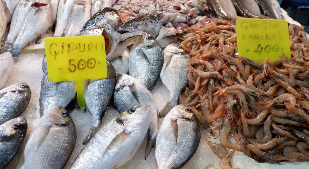 Foça Balık Halinde kış sezonu:Sardalya ve uskumru zamanı