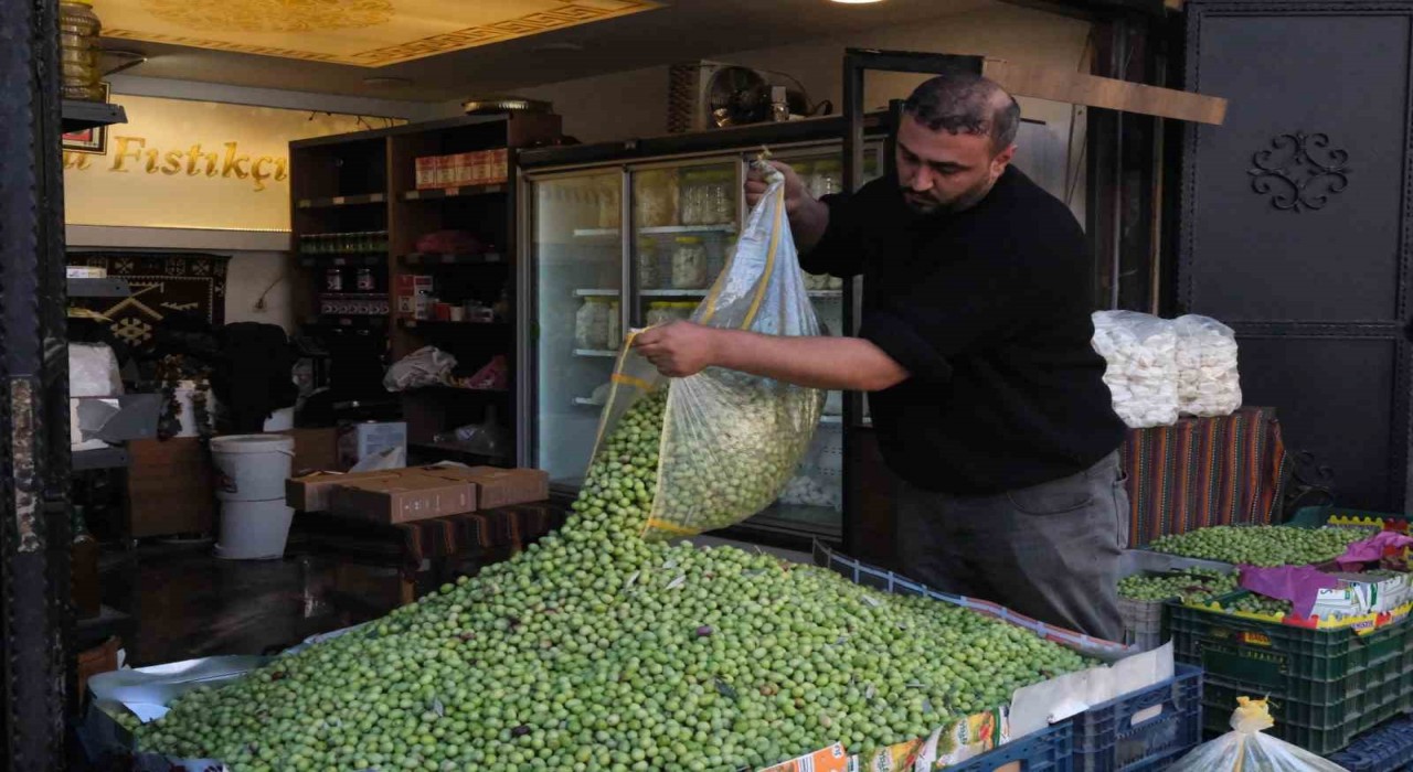 Gaziantepte yeşil zeytin fiyatları sabit kaldı