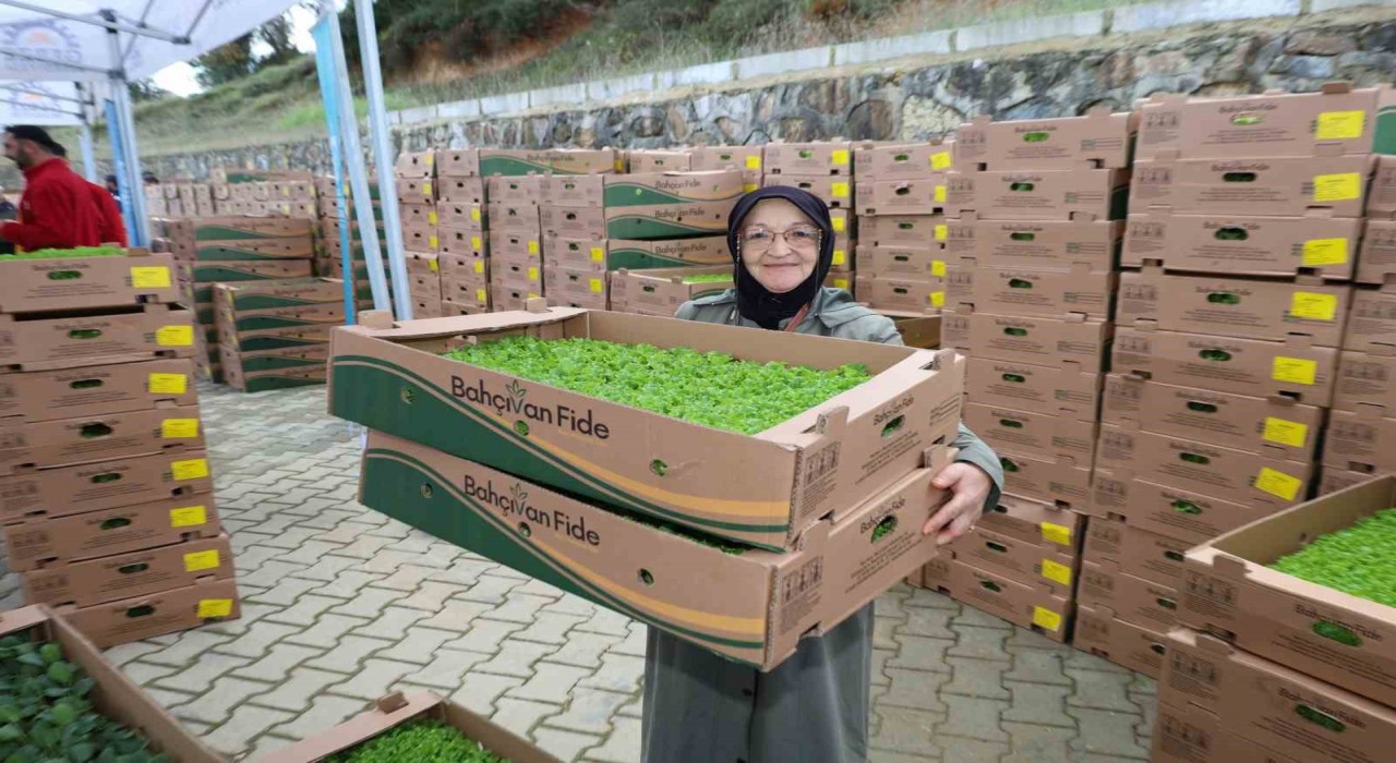 Gebzeli çiftçiye 500 bin sebze fidesi