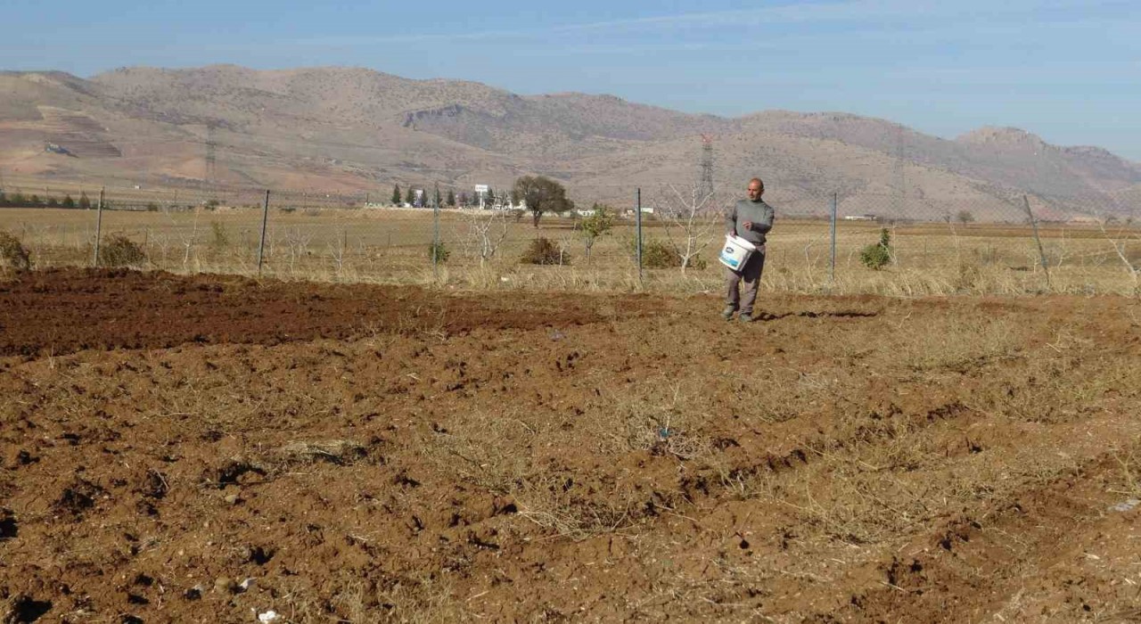 Gercüşte çiftçiler tohumlarını toprakla buluşturuyor