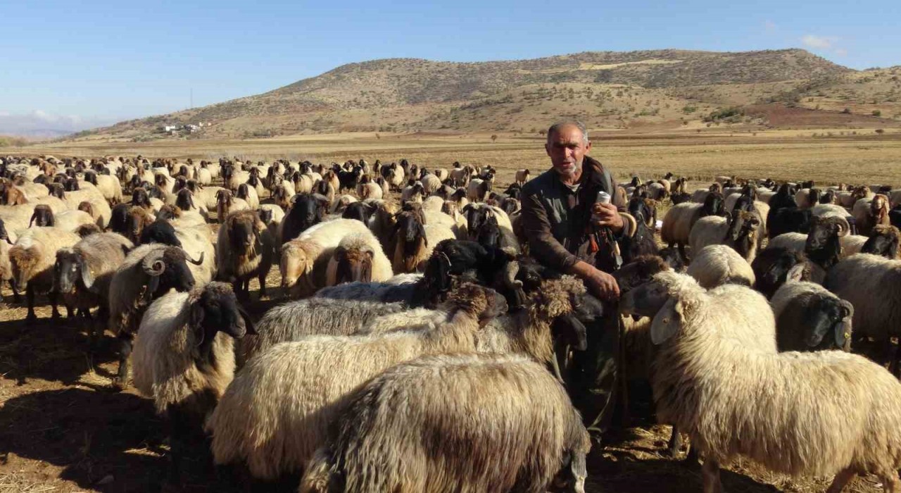 Gercüşte göçerlerin zorlu yolculuğu