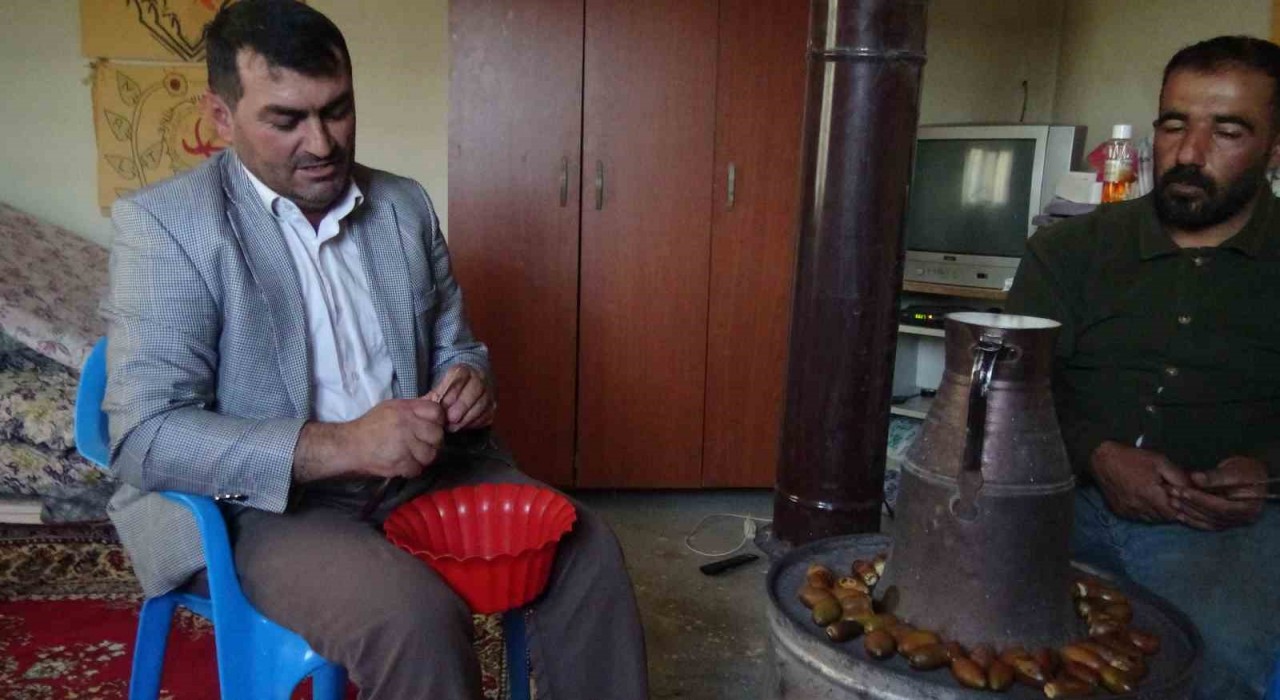 Gercüşün Doğu kestanesi: Organik meşe palamudu kış sofralarının vazgeçilmezi oluyor