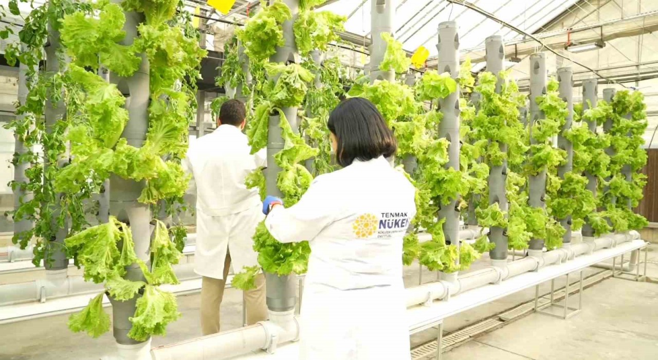 Gıda Güvenliğine ‘TENMAK dokunuşu