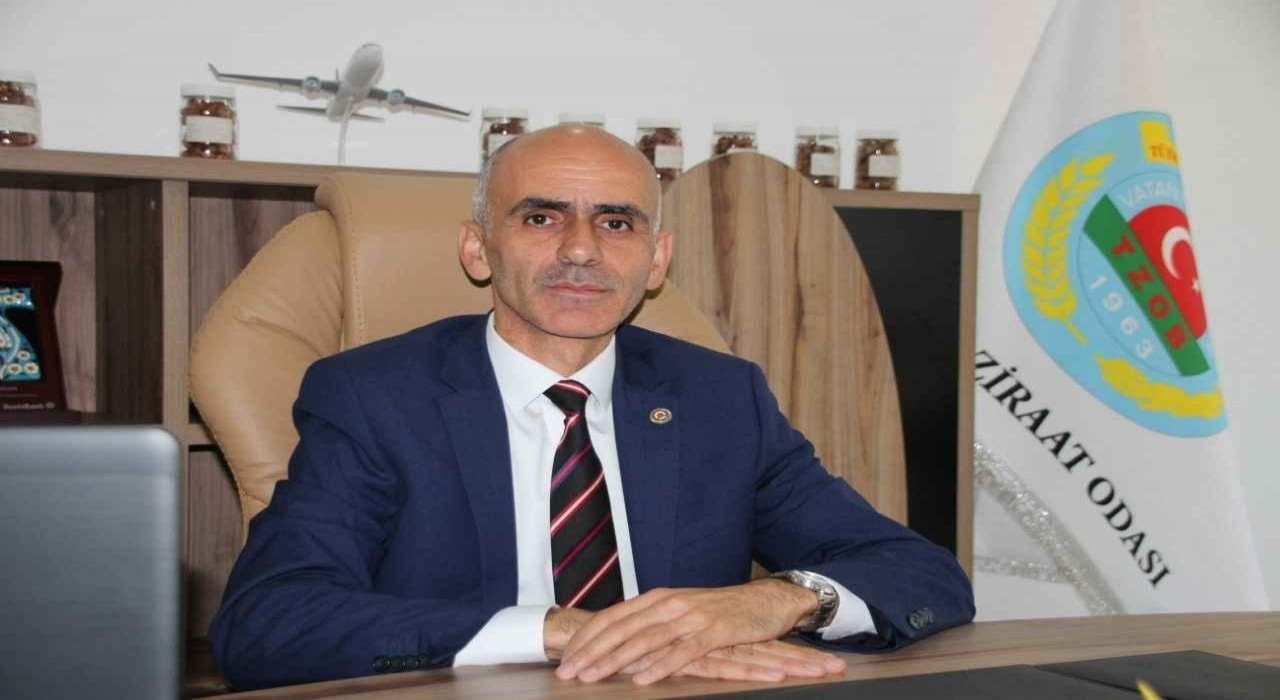 Giresun Ziraat Odası Başkanı Karan: TMO ya fiyatlarını güncellesin ya da alımlarını sonlandırsın