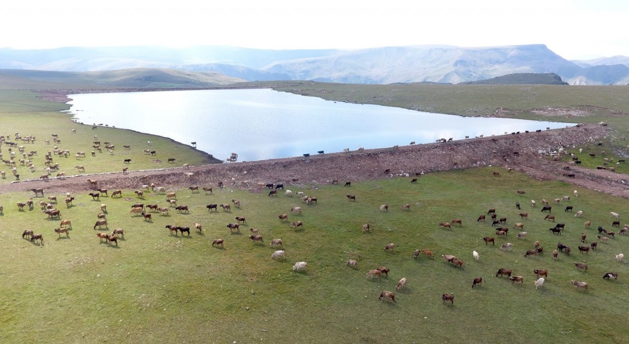 Gölet yapımında Türkiyeye örnek olan şehir: Erzurum