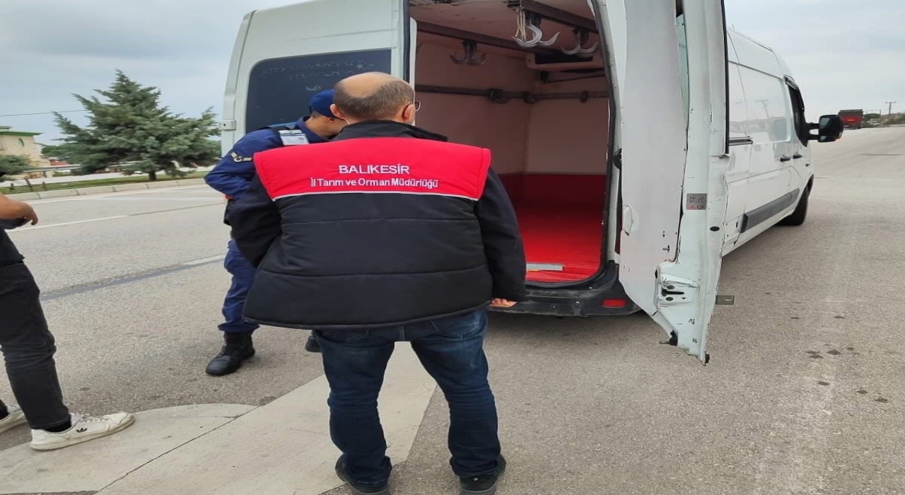 Gönende şap hastalığına karşı denetimler arttı