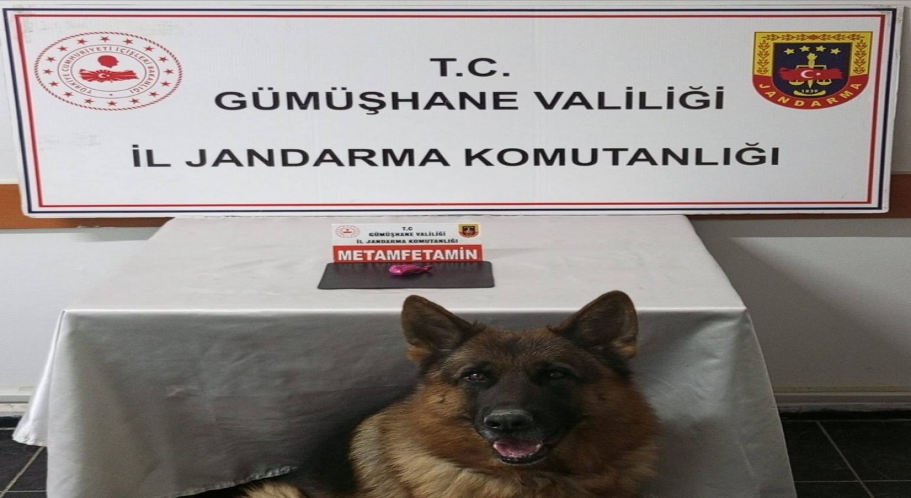 Gümüşhanede uyuşturucu operasyonunda 2 şahıs yakalandı