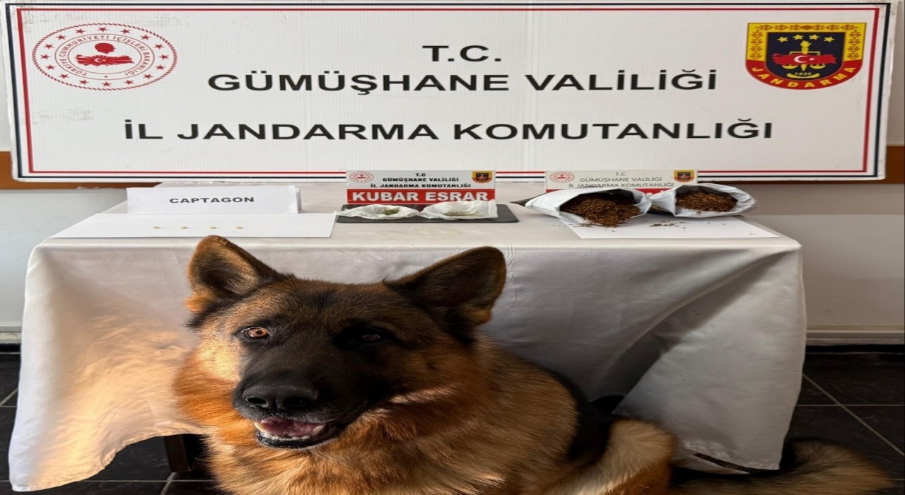 Gümüşhanede uyuşturucu operasyonunda 4 kişi yakalandı