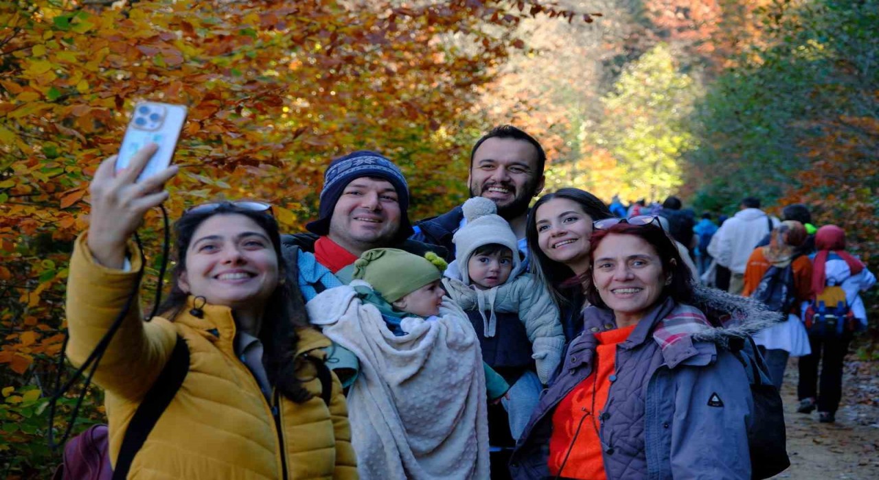 Gümüşhanenin Doğal Ağaç Müzesi ziyaretçi akınına uğruyor