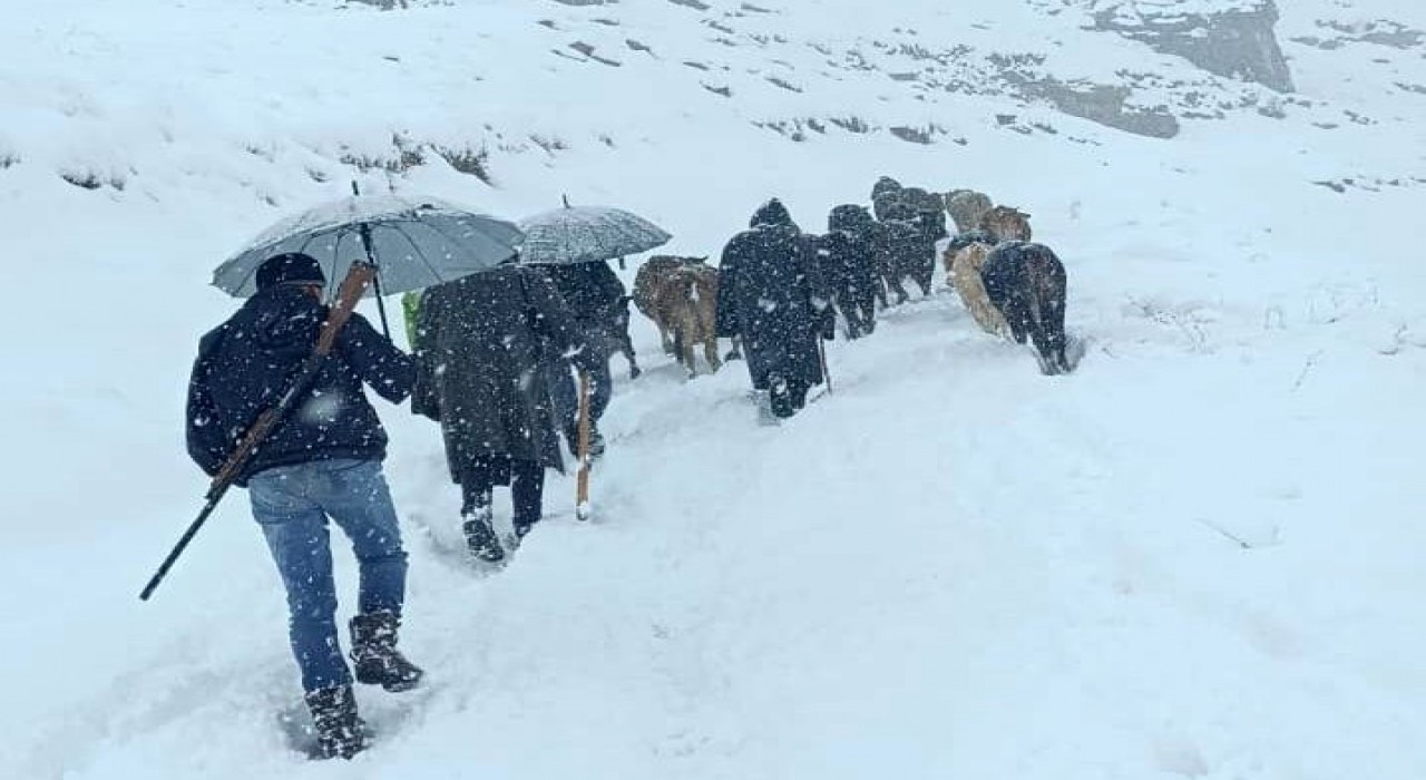 Hakkaride dağda mahsur kalan sürü kurtarıldı