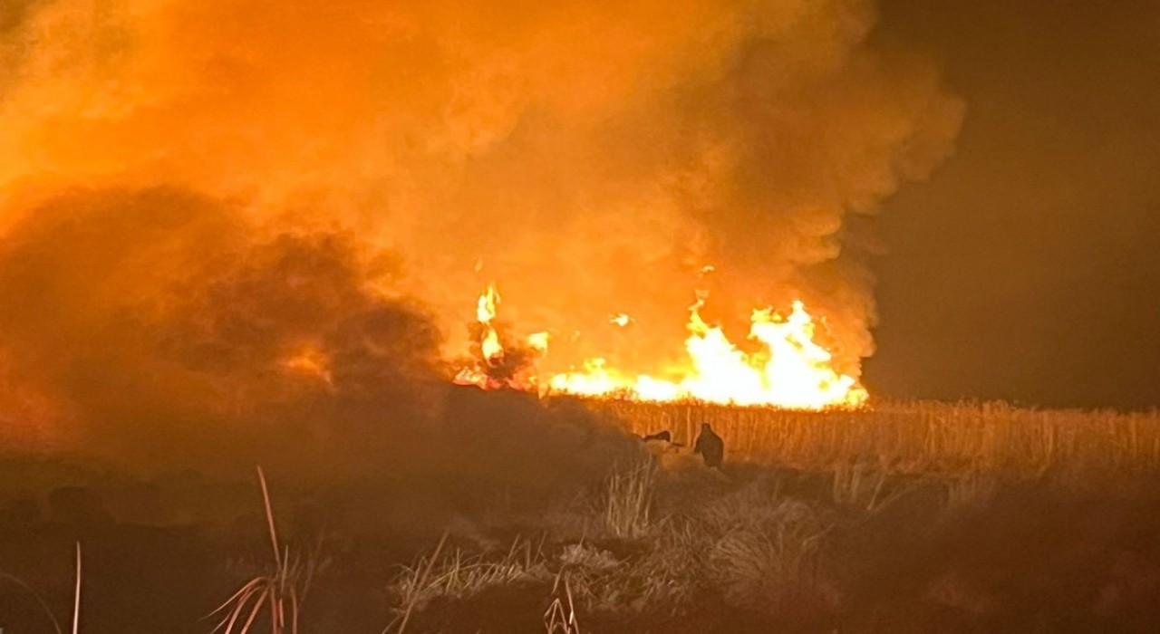 Hakkaride kuş cennetinde yangın