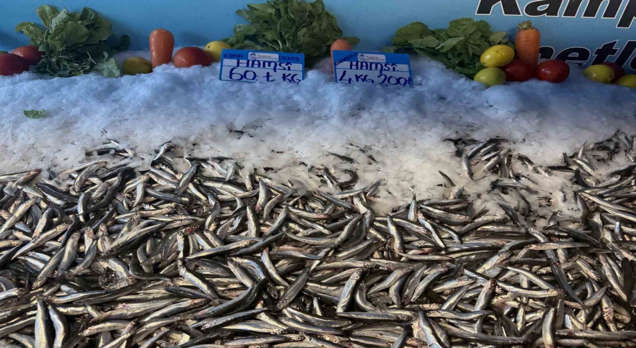 Hamsi fiyatı yüzleri güldürdü, kilosu 60 liraya düştü