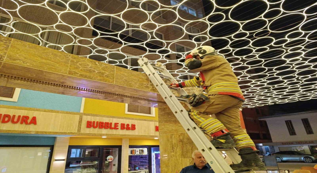 Hatayda duvar boşluğuna sıkışan kedi itfaiye ekiplerince kurtarıldı